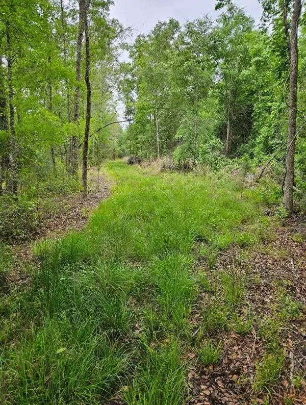 1300 Misty Ridge Lane, Walterboro, SC 29488