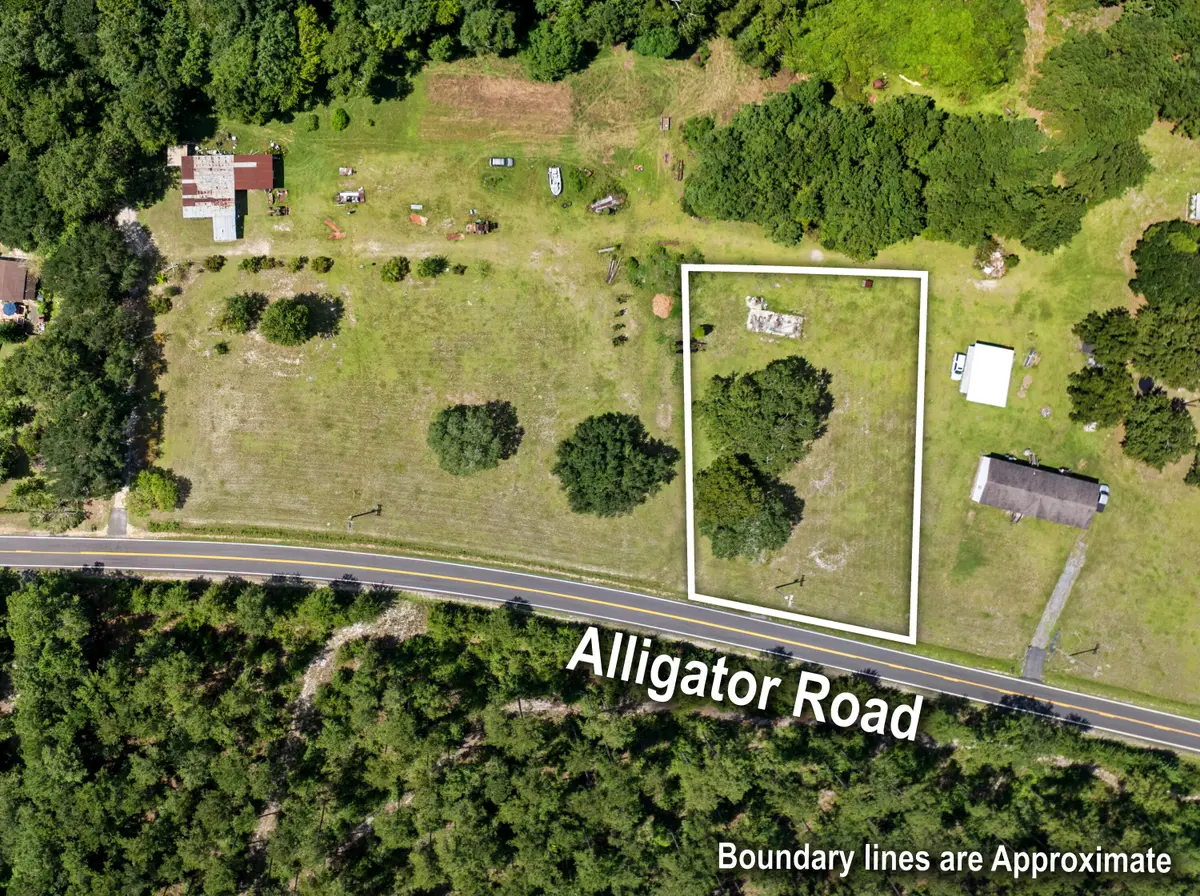 0 Alligator Road, Cordesville, SC 29434 - #1