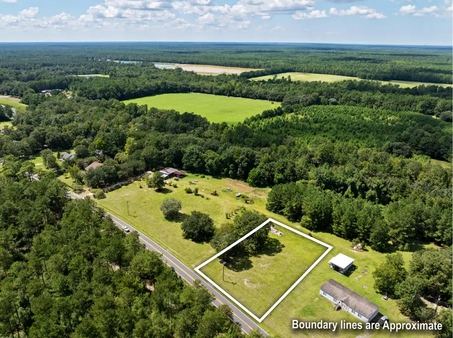 0 Alligator Road, Cordesville, SC 29434 - #2