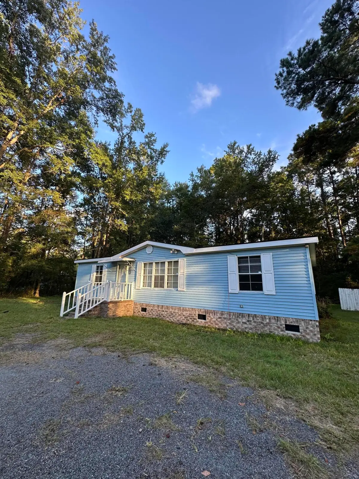 119 E Medina Street, Summerville, SC 29483 - #1