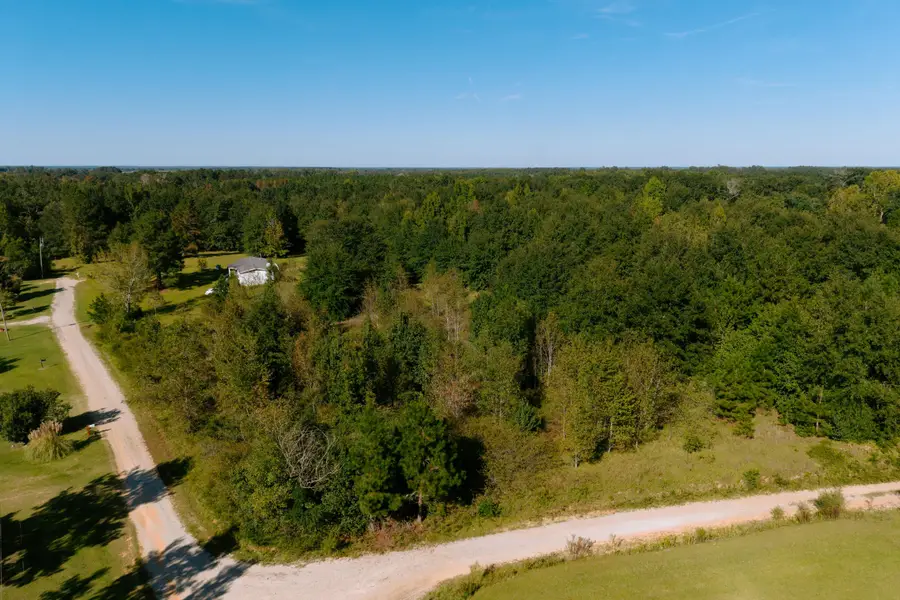194 Dove Drive, Denmark, SC 29042 - #2