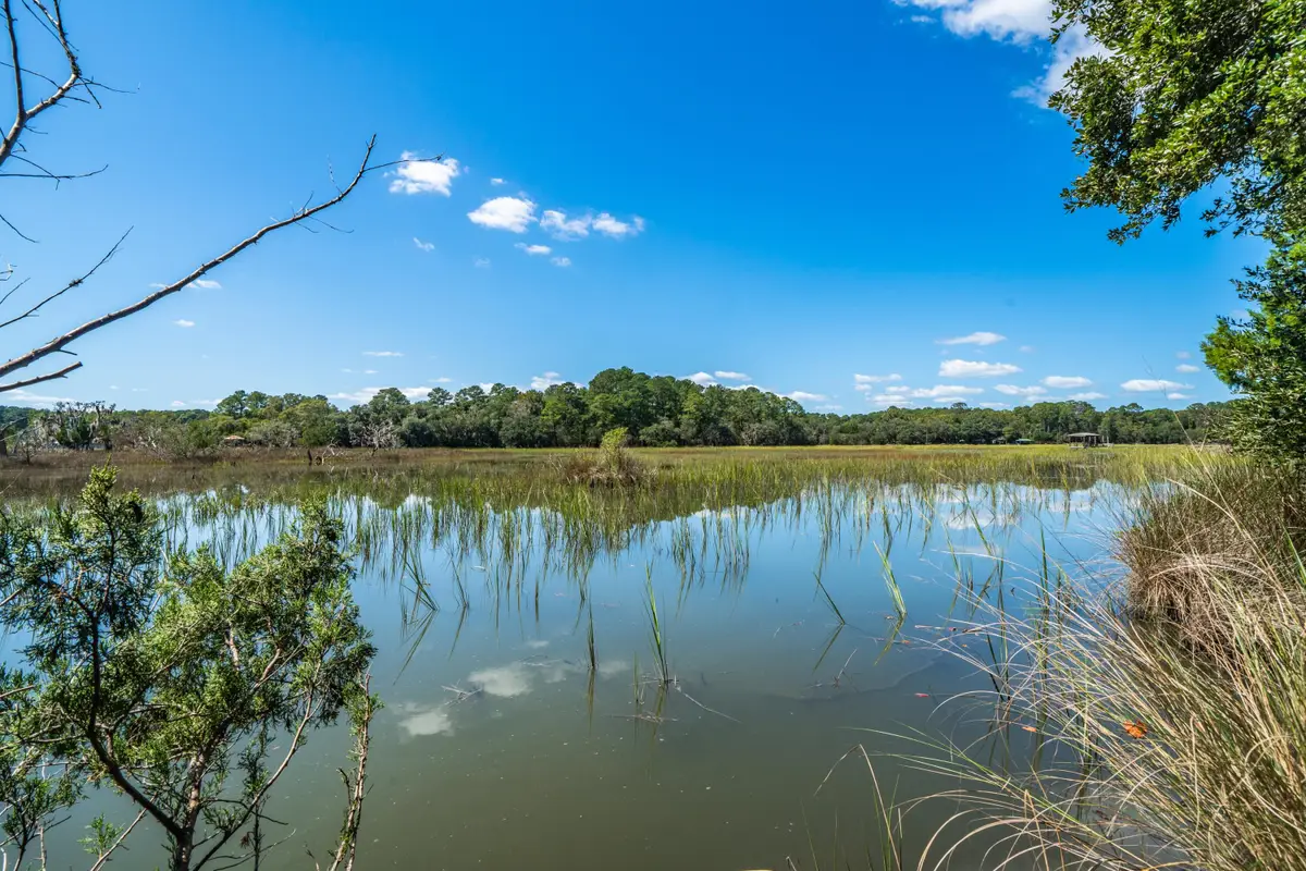 Address Withheld By Seller, Wadmalaw Island, SC 29487 - #1
