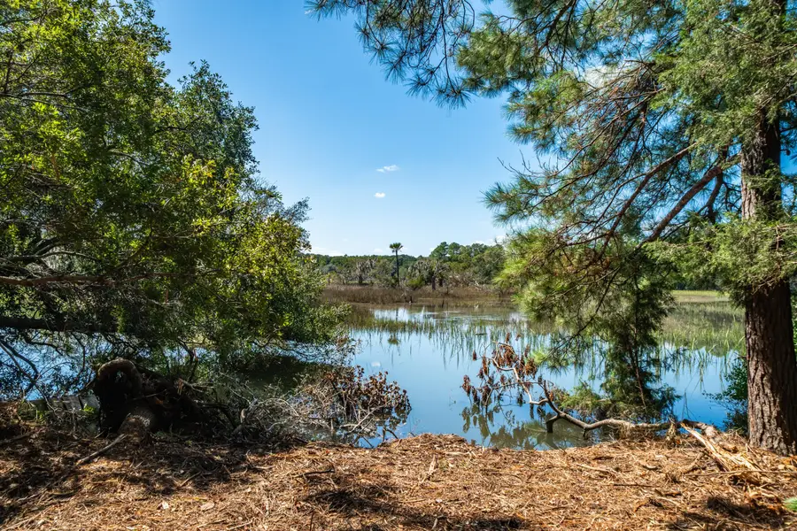 Address Withheld By Seller, Wadmalaw Island, SC 29487 - #2