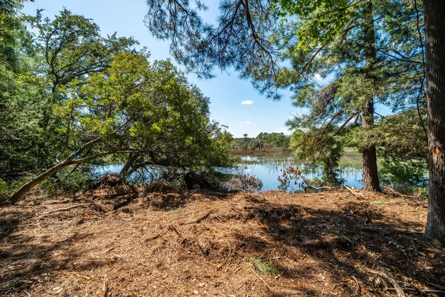 Address Withheld By Seller, Wadmalaw Island, SC 29487 - #3