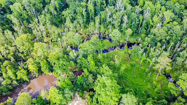 0-C Mount Carmel Road, Walterboro, SC 29488