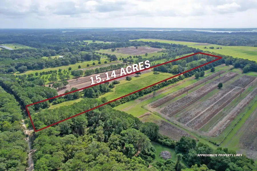 1837 Leadenwah Drive, Wadmalaw Island, SC 29487 - #2