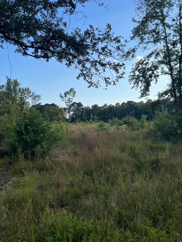 0 Yaremich Road, Moncks Corner, SC 29461