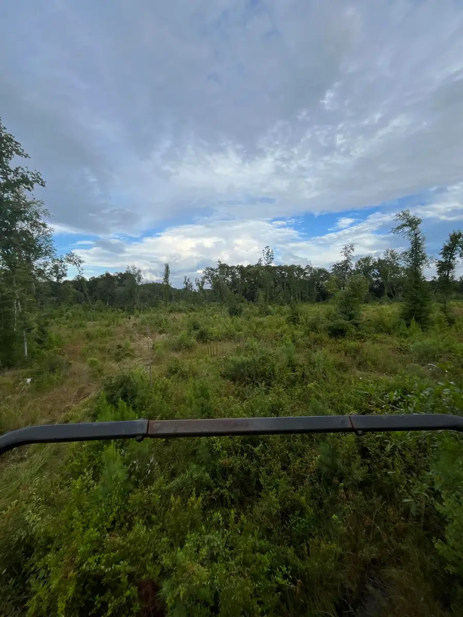 0 Yaremich Road, Moncks Corner, SC 29461 - #3