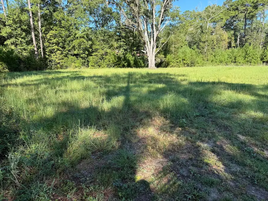6142 Savannah Highway #Lot 1a, Ravenel, SC 29470 - #2