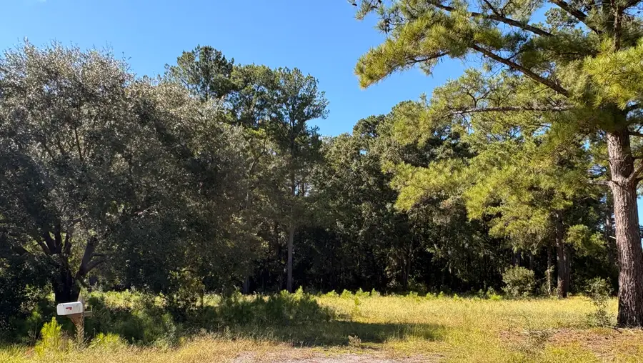 308 Piney Grove Road, Cross, SC 29436 - #2
