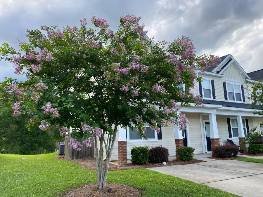 9073 Parlor Drive, Ladson, SC 29456 - #3
