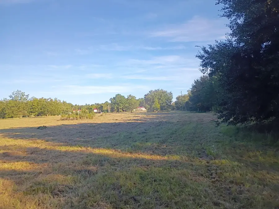 00 Parkwood, North, SC 29112 - #2