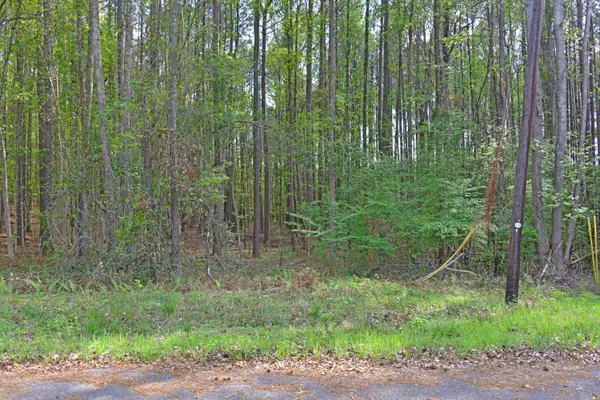 0 Ridgelake(lot 29) Circle, Saint Matthews, SC 29135