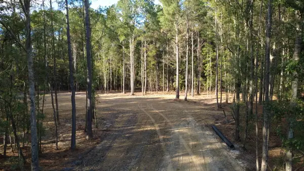 0 Gum Branch & Sweetgum Road, Saint George, SC 29477