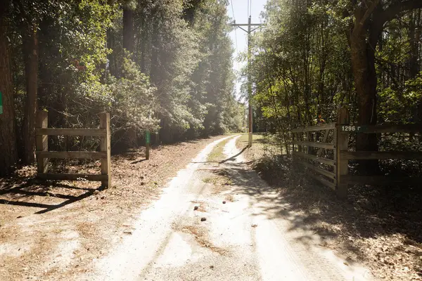 1298 Barracada Road, Walterboro, SC 29488
