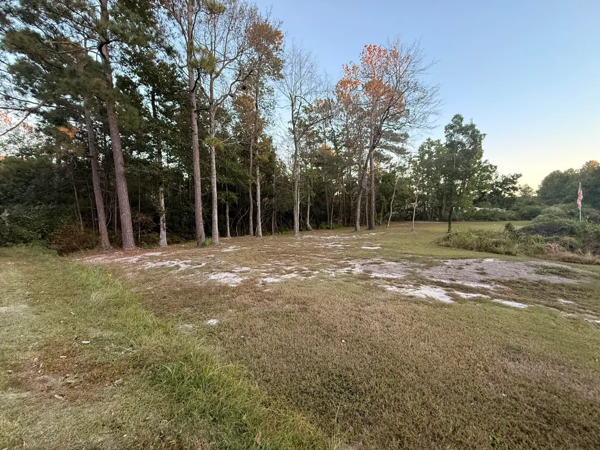 312 General Moultrie Drive, Bonneau, SC 29431 - #1