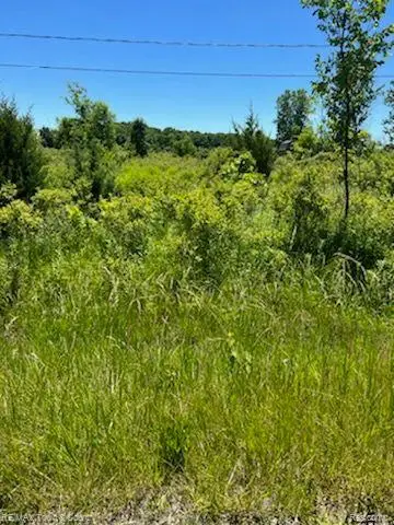 0 E WILSON RD, Clio, MI 48420 - #3