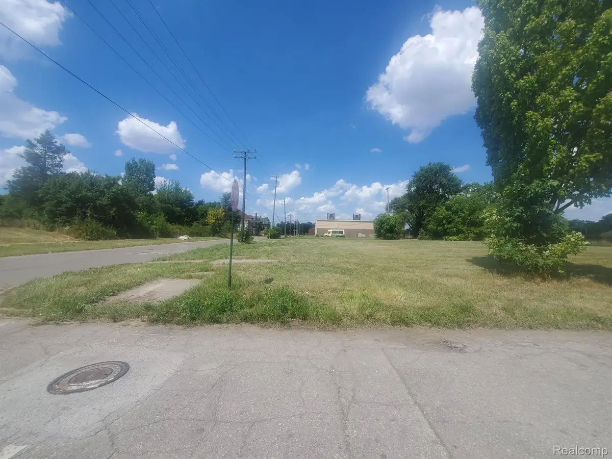 11534 WOODROW WILSON ST, Detroit, MI 48206 - #1