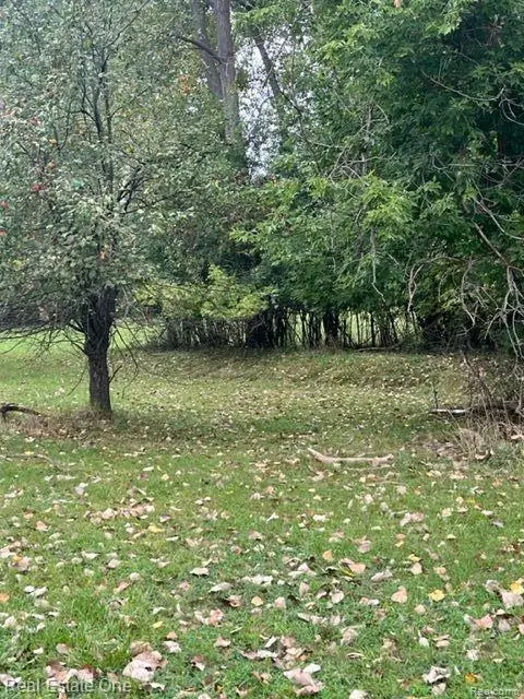 000,001,002,003 Walton - possible 4 home sites, Rochester Hills, MI 48307 - #2