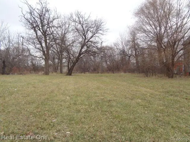 3330 14TH ST, Detroit, MI 48208 - #1