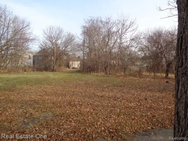 3806 BELVIDERE ST, Detroit, MI 48214 - #1