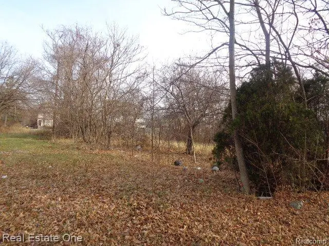3806 BELVIDERE ST, Detroit, MI 48214 - #2