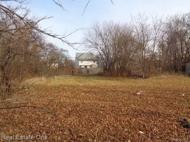 3806 BELVIDERE ST, Detroit, MI 48214 - #3