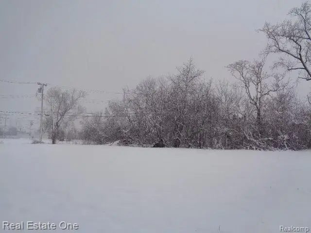 1043 CANTON ST, Detroit, MI 48207 - #1