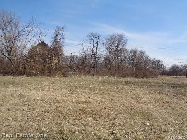 570 CONCORD ST, Detroit, MI 48207 - #2