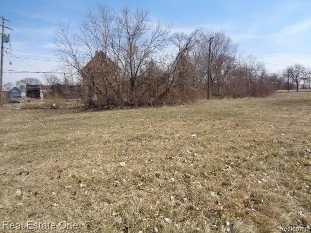 570 CONCORD ST, Detroit, MI 48207 - #3