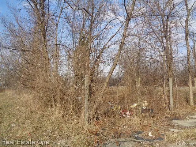 4293 16TH ST, Detroit, MI 48208 - #2