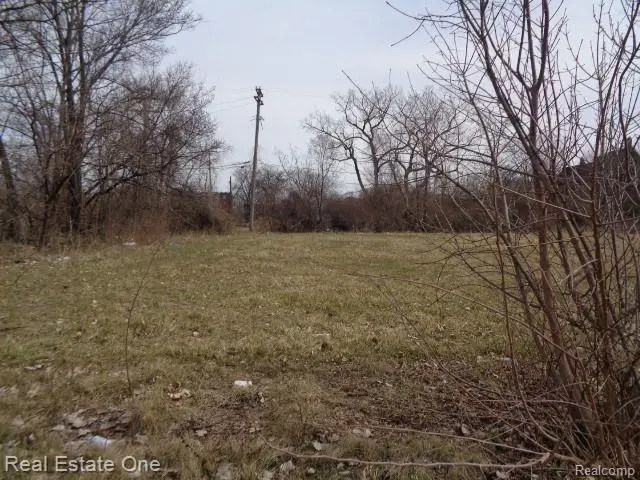 612 CONCORD ST, Detroit, MI 48207 - #2