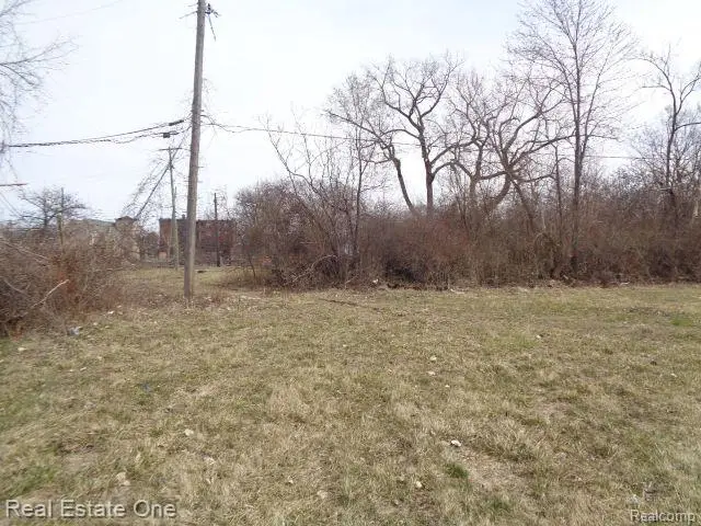 612 CONCORD ST, Detroit, MI 48207 - #3