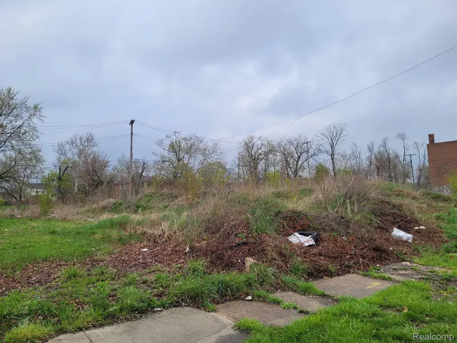 3324 ROCHESTER ST, Detroit, MI 48206 - #2