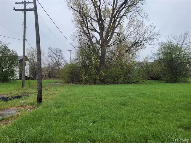 2427 ASH ST, Detroit, MI 48208 - #3