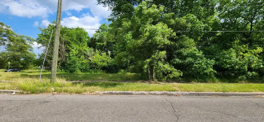 4257 MOUNT ELLIOTT ST, Detroit, MI 48207 - #3