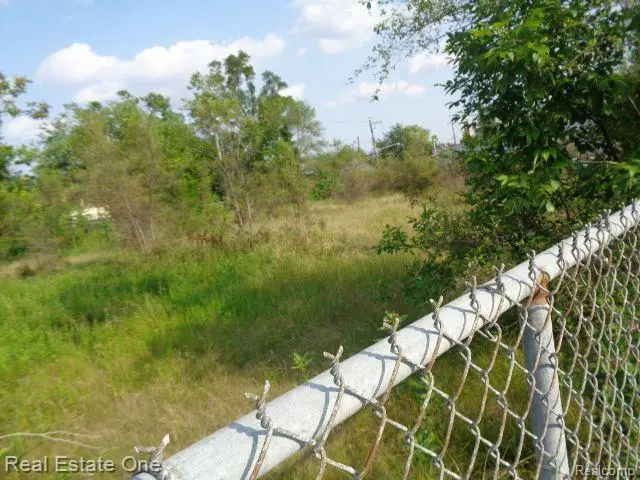 14852 WYOMING ST, Detroit, MI 48238 - #3