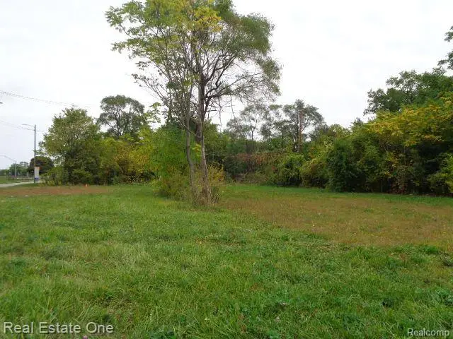 5266 LINWOOD ST, Detroit, MI 48208 - #3
