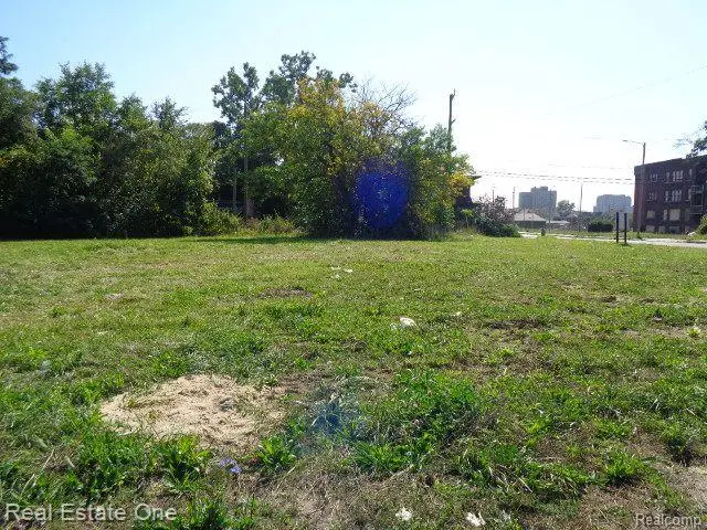 404 HARPER AVE, Detroit, MI 48202 - #3