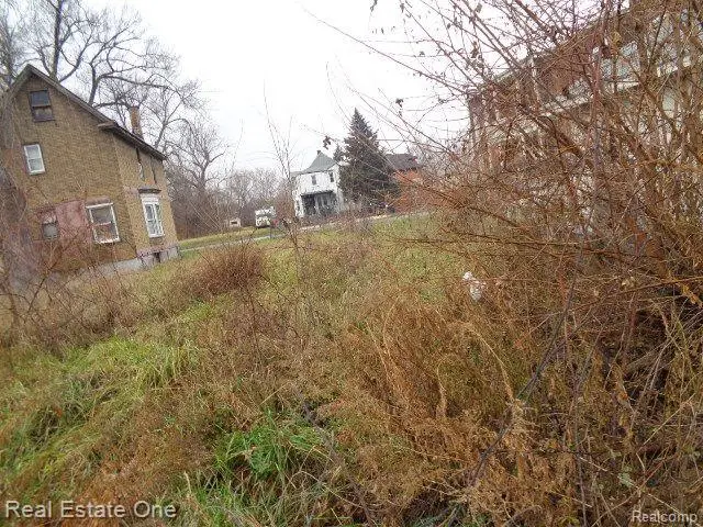 568 E BETHUNE ST, Detroit, MI 48202 - #3