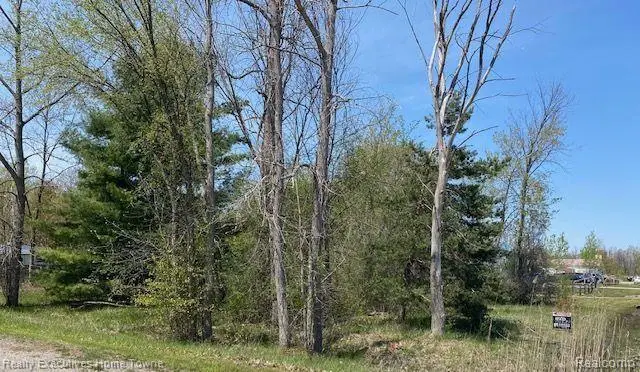 00 Range, Kimball, MI 48074 - #2