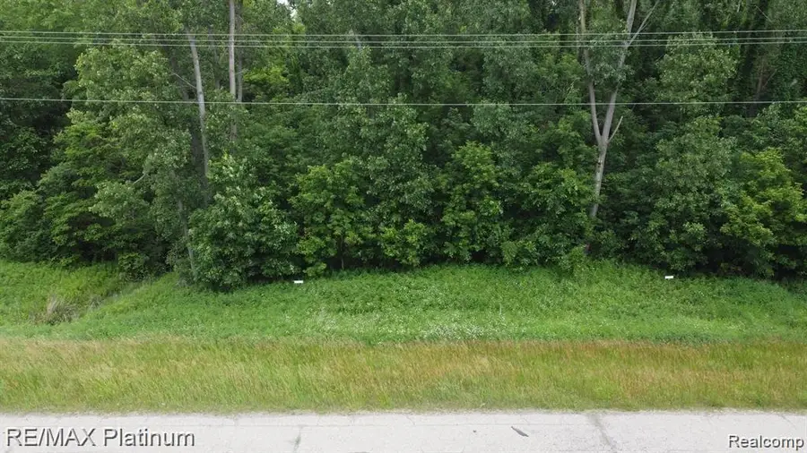 12071 HIGHLAND ROAD, Hartland, MI 48353 - #2