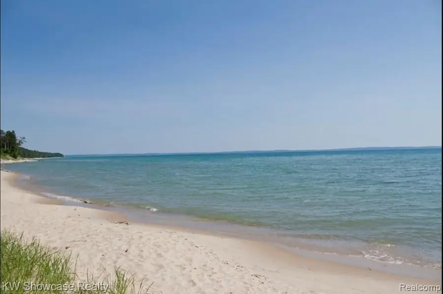 5146 LOWER SHORE DR, Harbor Springs, MI 49740 - #2