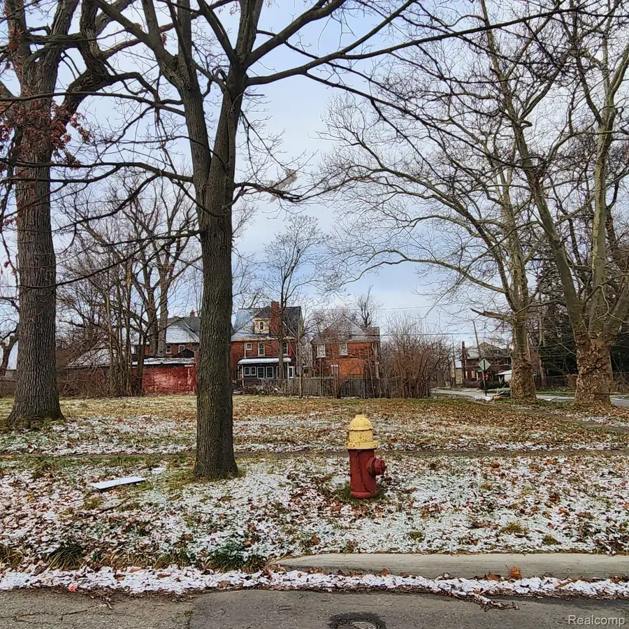 3065 SHERIDAN ST, Detroit, MI 48214 - #2
