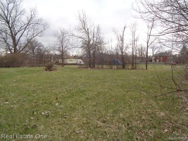 1749 COLLINGWOOD ST, Detroit, MI 48206 - #3