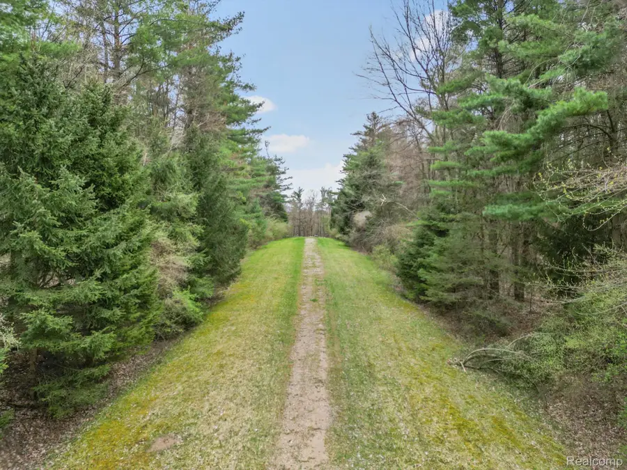 11.01 Acres Vacant Land KNIGHTS BRIDGE RD, Leonard, MI 48367 - #2