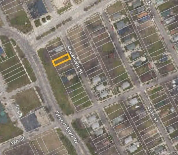 3369 ROOSEVELT ST, Detroit, MI 48208 - #2