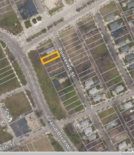 3369 ROOSEVELT ST, Detroit, MI 48208 - #3