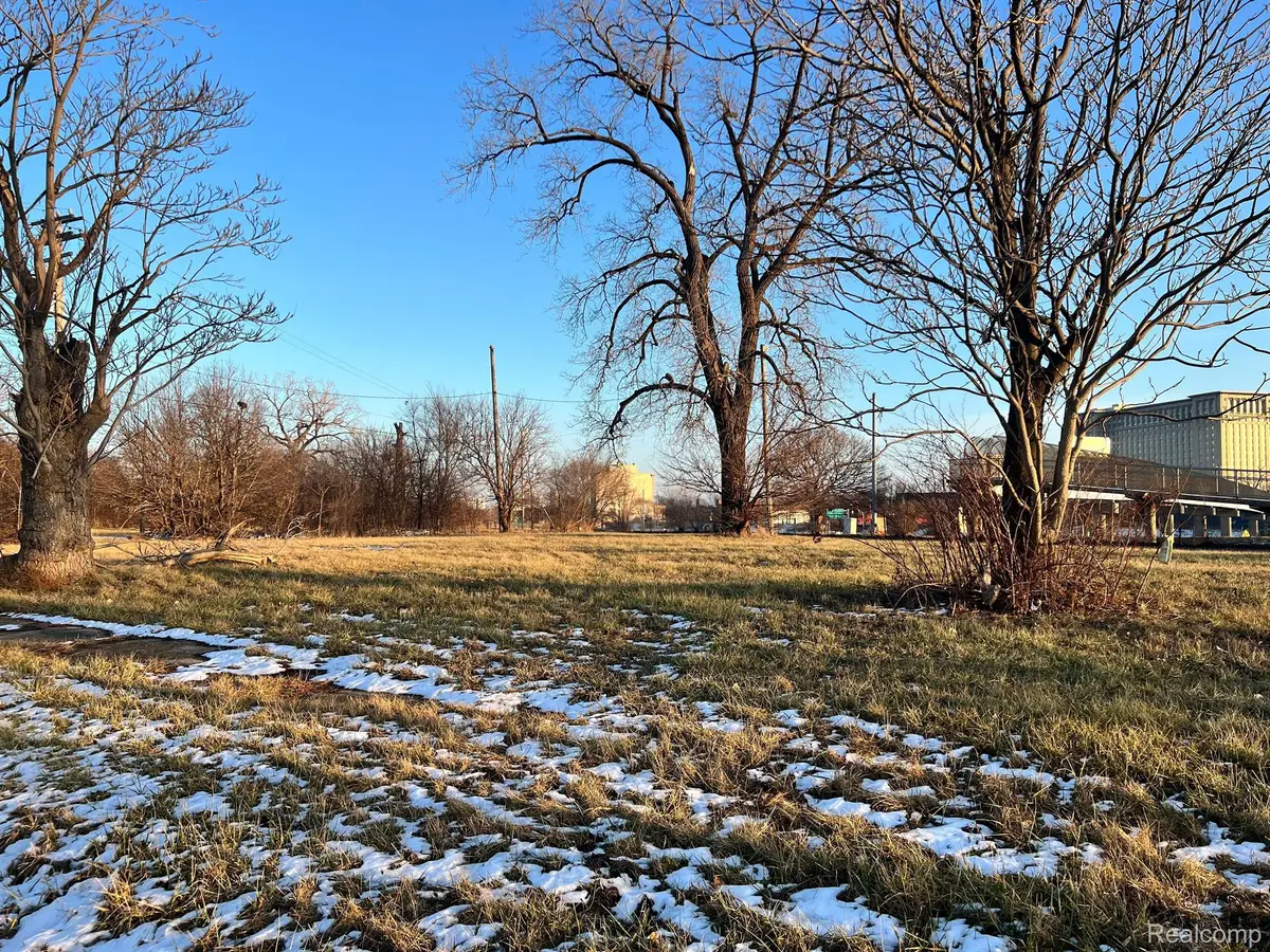 2435 PERRY ST, Detroit, MI 48216 - #1