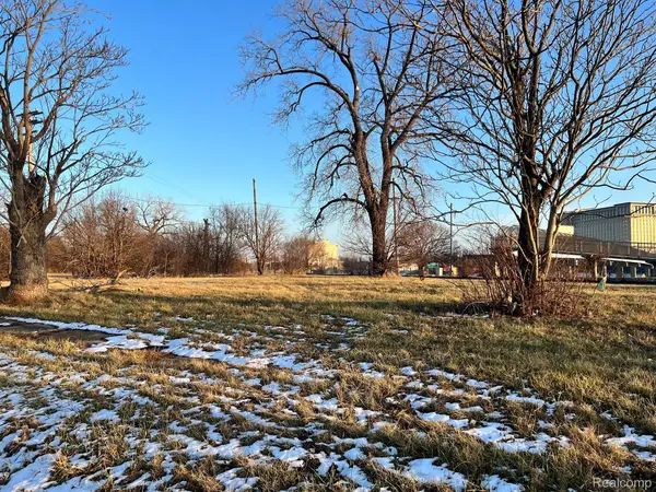 2435 PERRY ST, Detroit, MI 48216